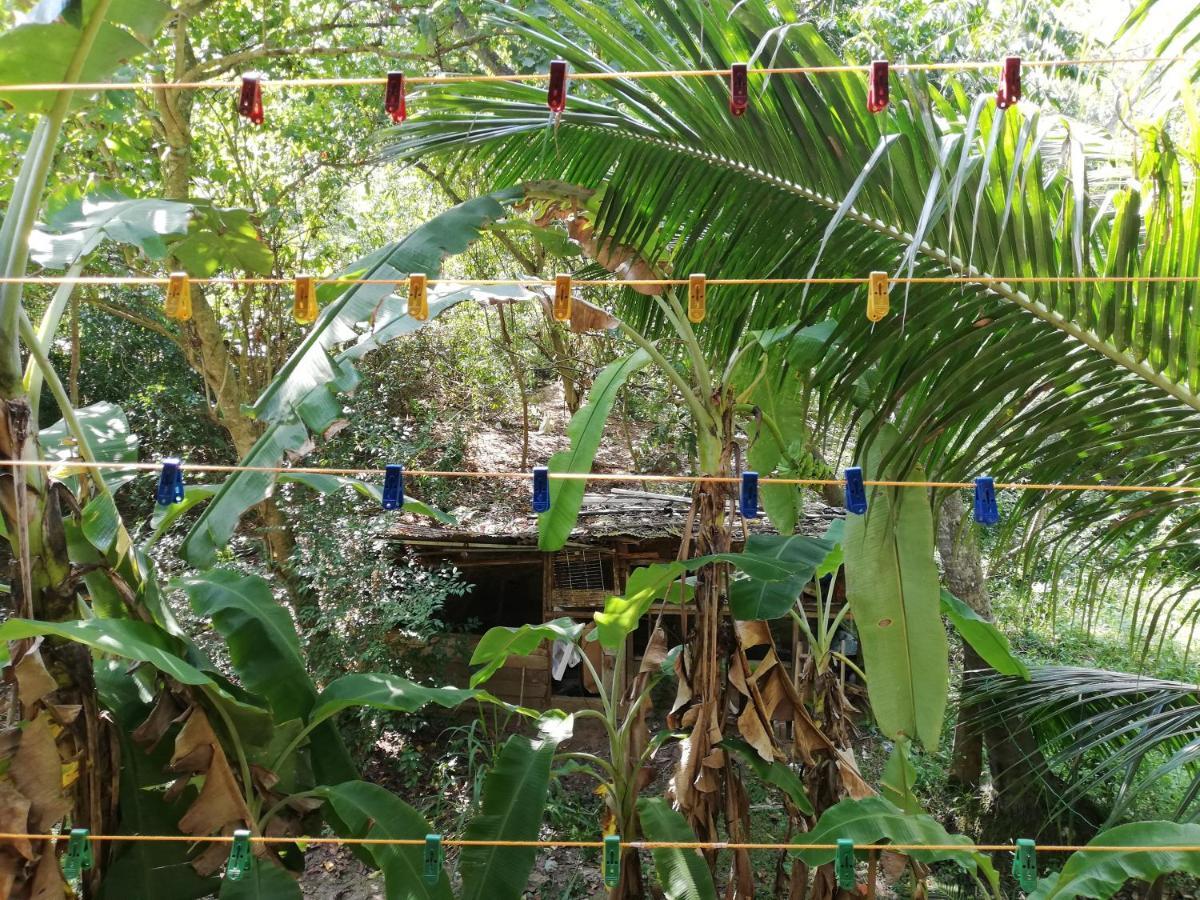 Sea Breeze Garden Hotel Tangalle Exterior photo